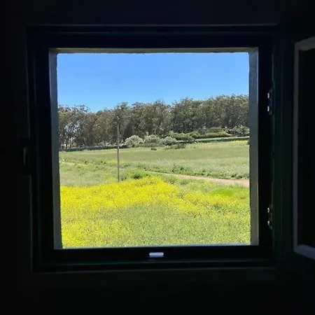 La Macadamia Casa de Férias La Laguna (Tenerife)