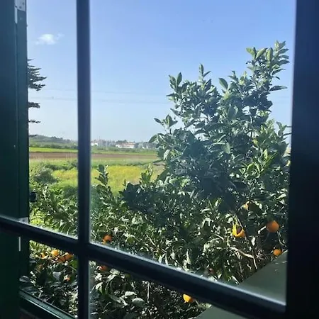 La Macadamia Vakantiehuis La Laguna (Tenerife)