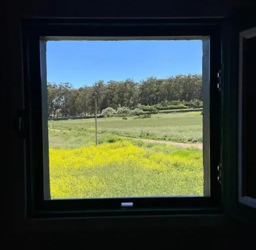 La Macadamia Casa vacanze La Laguna (Tenerife)