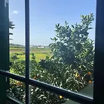 La Macadamia 펜션 라 라구나