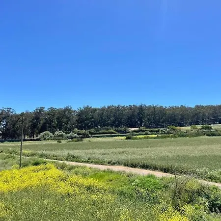 La Macadamia