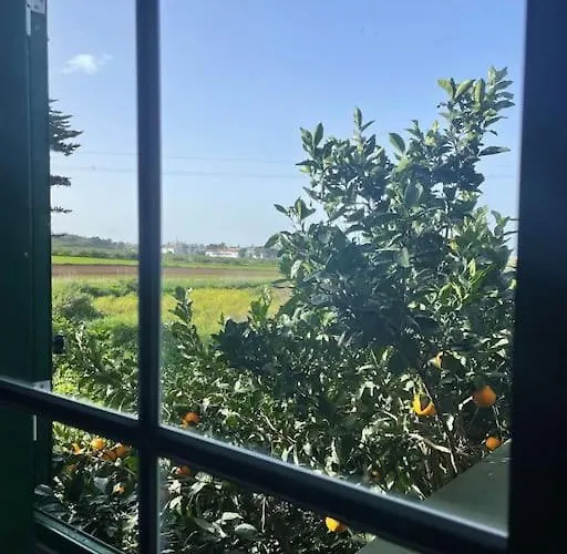 La Macadamia Σπίτι διακοπών Σαν Κριστόμπαλ ντε Λα Λαγούνα